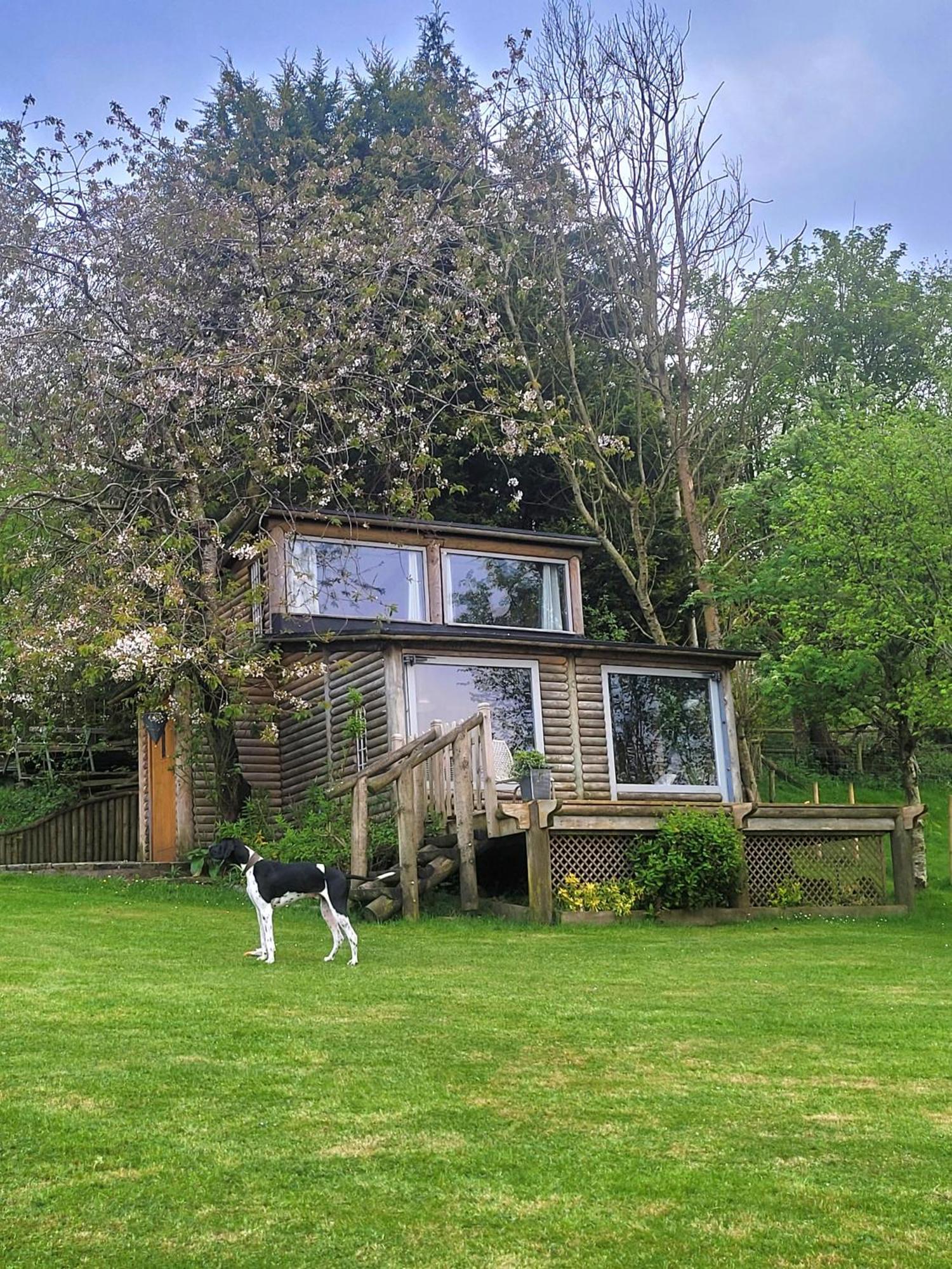 The Summerhouse Llandegla Ngoại thất bức ảnh